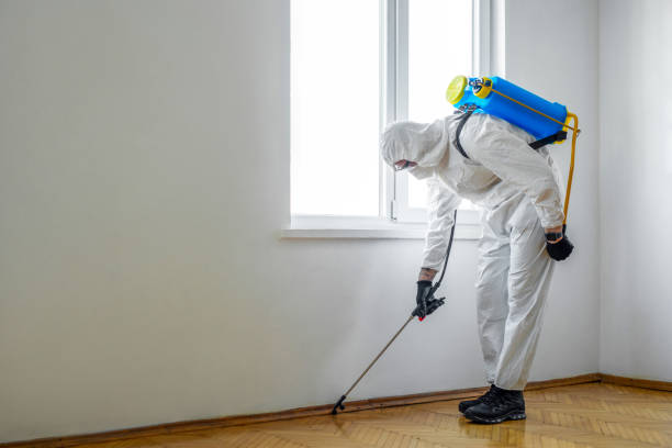 Indoor Pest Control in Galena Park, TX